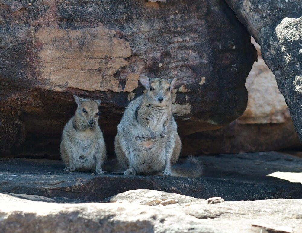 APT Kimberley Wilderness Adventures-布鲁姆必去景点