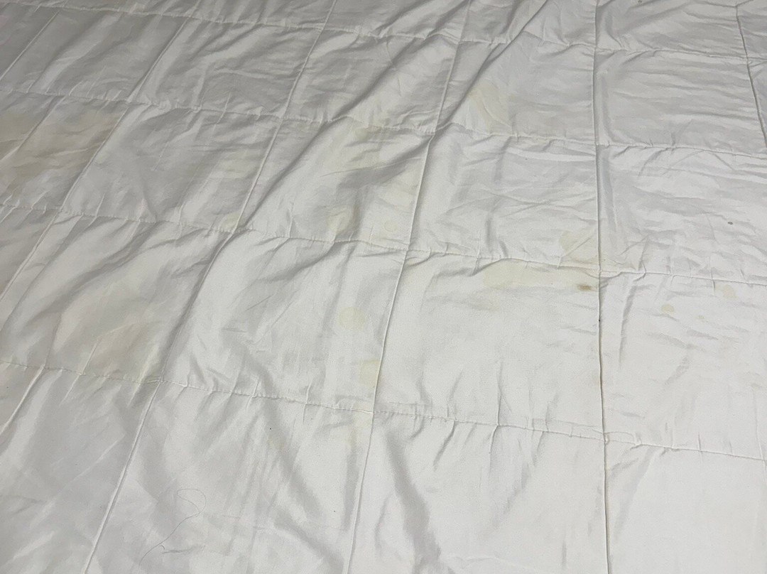 Basalt Mountain Inn主图