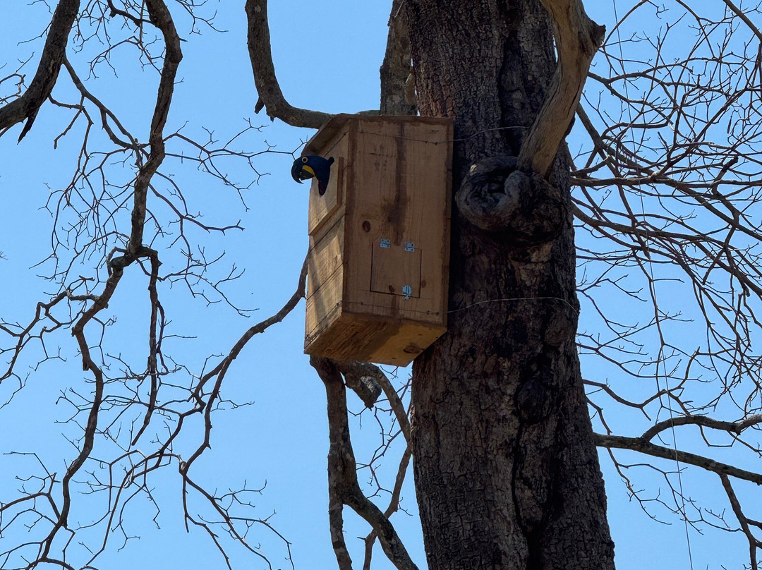 Caiman Ecological Refuge-米兰达必去景点