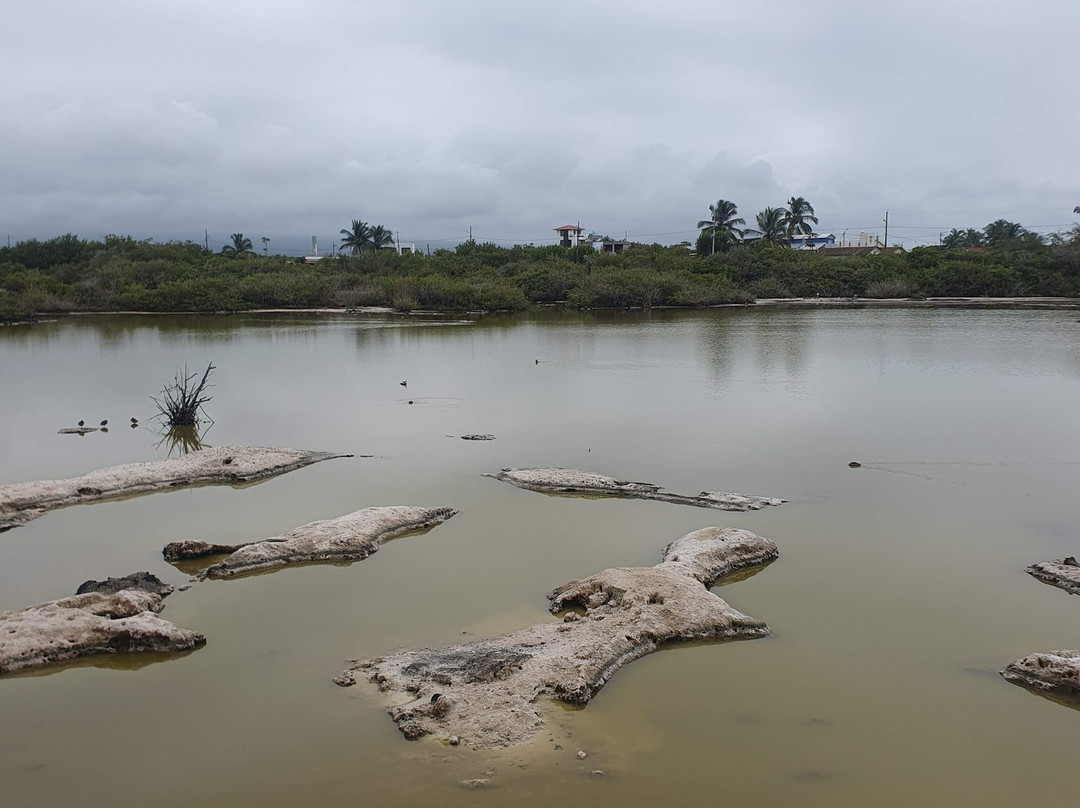 Laguna Salinas-维里亚米尔港必去景点
