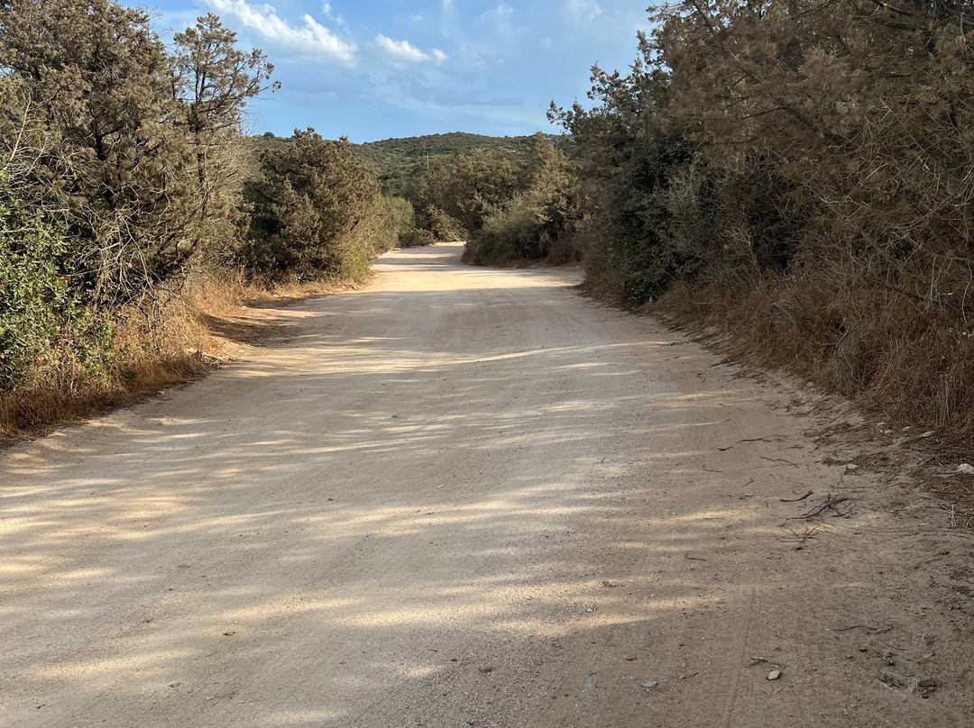 Spiaggia di Cala Sabina-Golfo Aranci必去景点