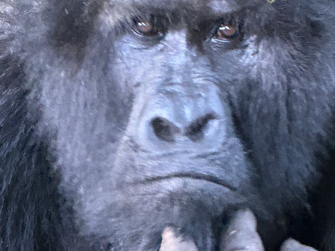 Africa Tours Adventure-坎帕拉必去景点