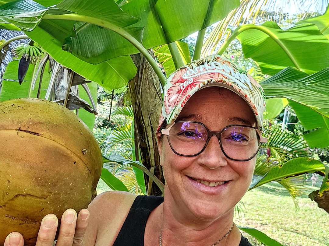 Cabañas los Colibris主图