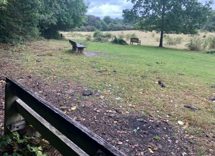 Teston Bridge Country Park-梅德斯通必去景点