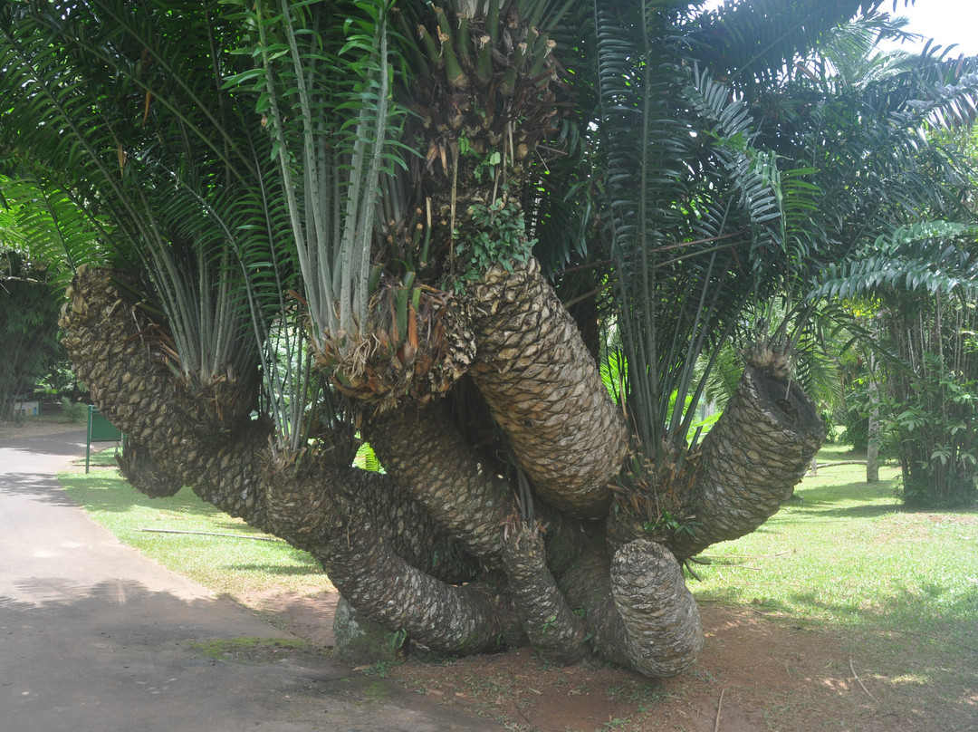 SLRIDE.COM-奴娃拉伊利雅必去景点