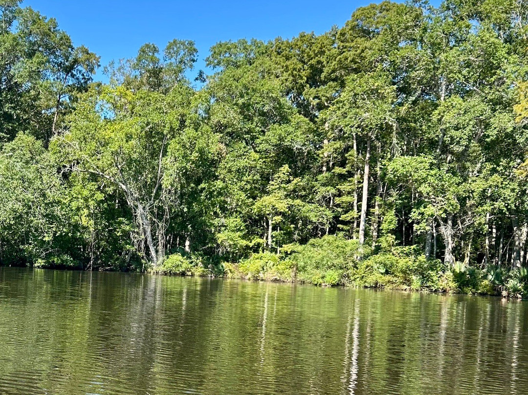 Backwater Tours-圣罗萨海滩必去景点