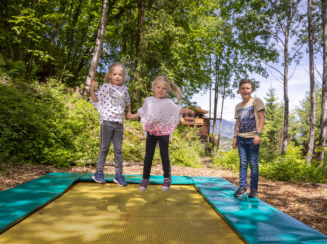 Das Kaltenbach - Nature Hotel主图