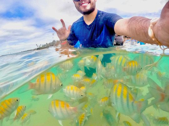 Pernambucando Turismo.-嘎林海斯港必去景点