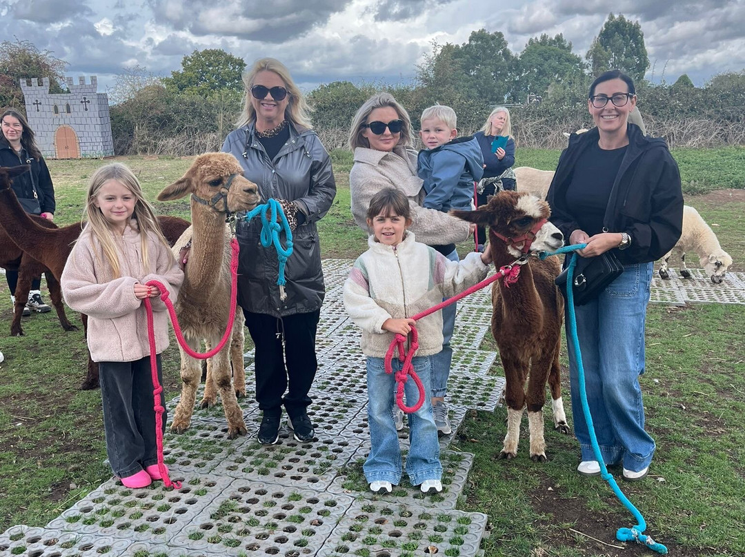 Lucky Tails Alpaca Farm-Atherstone必去景点