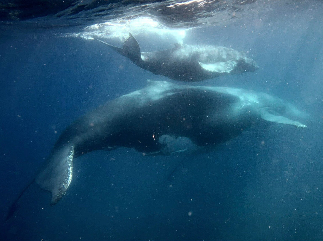 Mozambique Experience-Praia da Barra必去景点