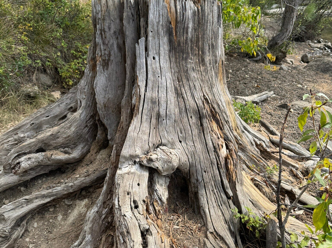 Ponderosa State Park-McCall必去景点
