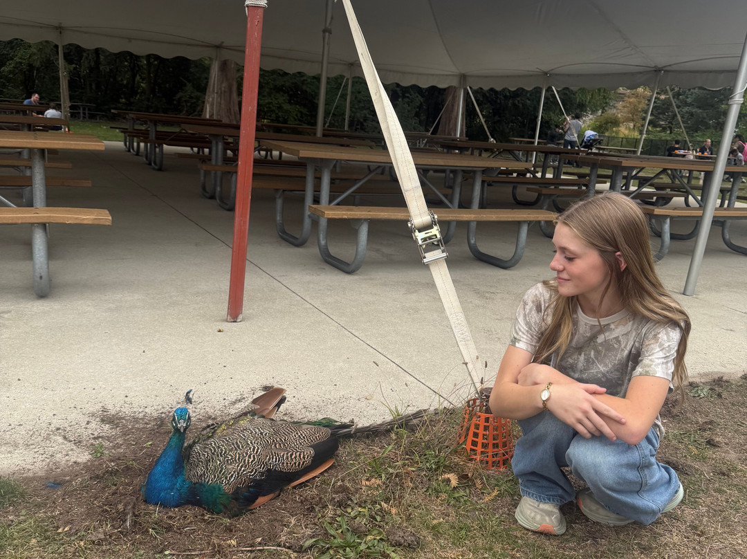 Detroit Zoo-罗亚尔奥克必去景点