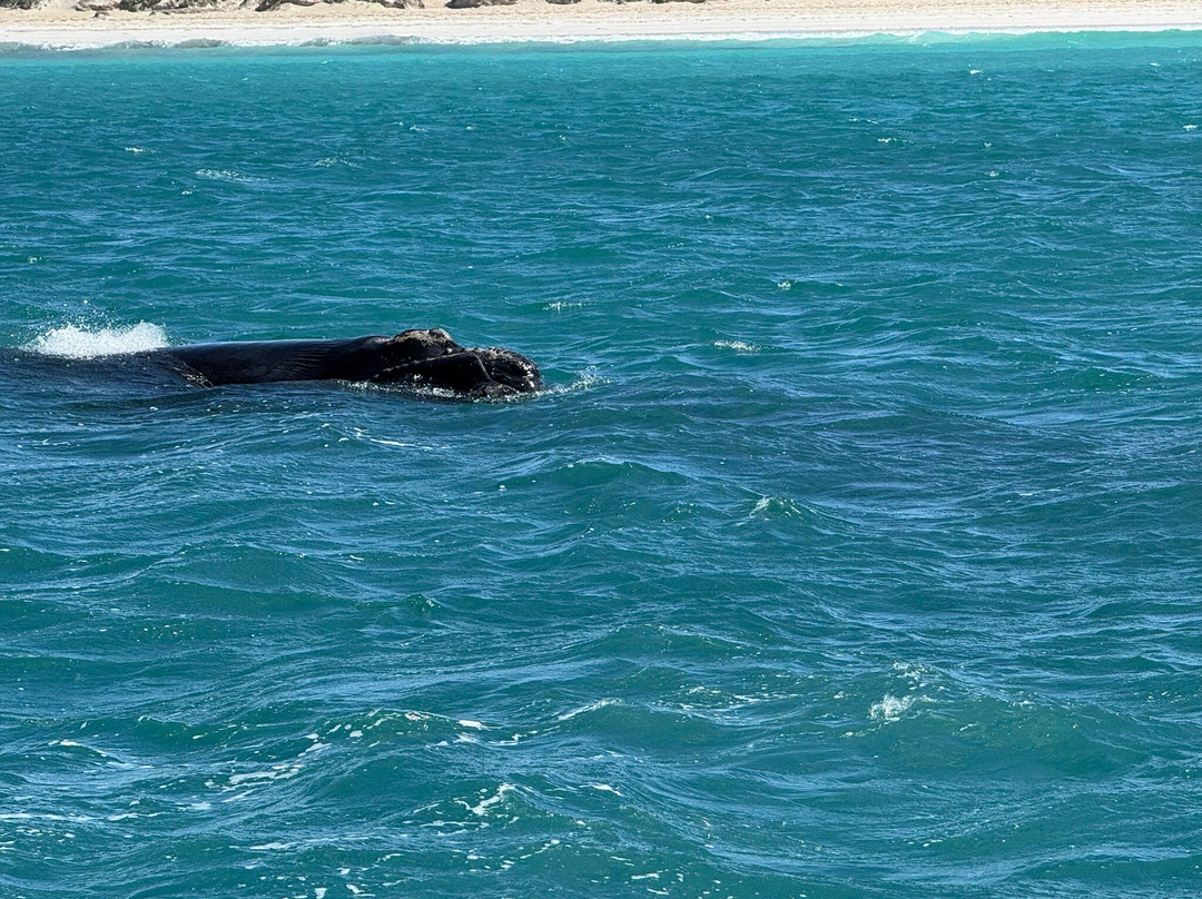 EP Cruises-Fowlers Bay必去景点