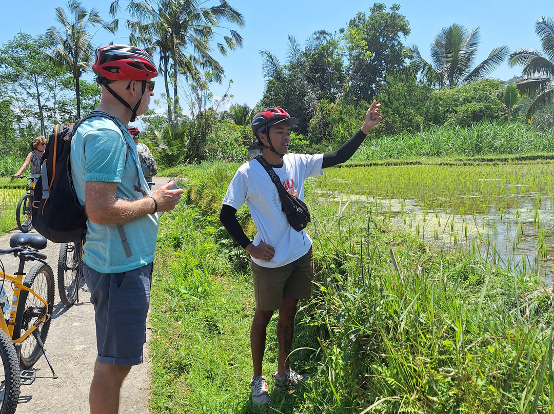Bali Fun Bike Adventure-Pejeng Kaja必去景点