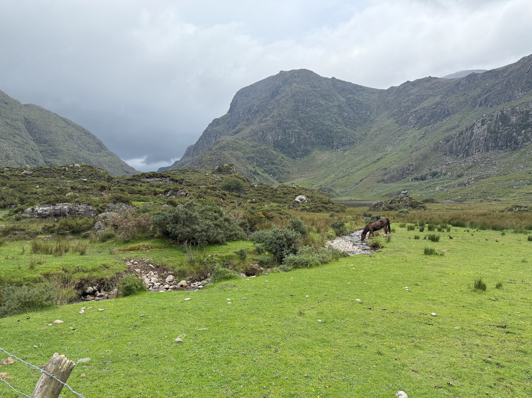 Gap of Dunloe Tours-基拉尼必去景点