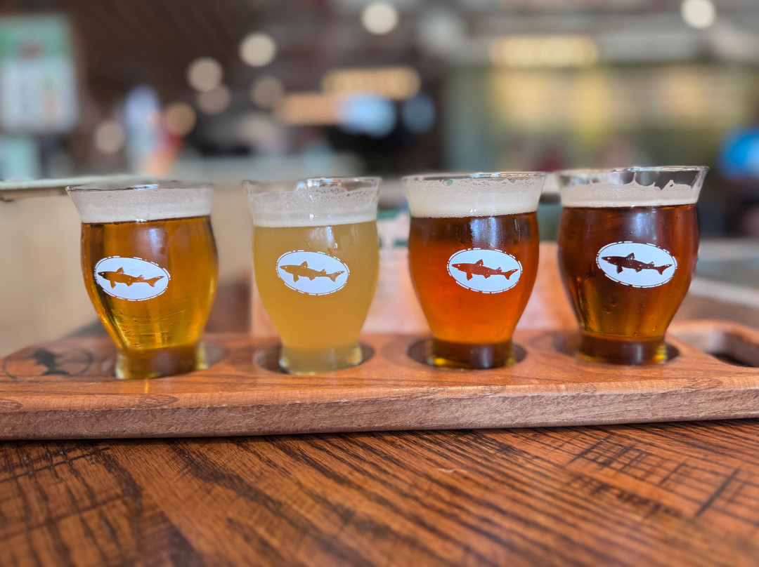 Dogfish Head Milton Brewery-Milton必去景点