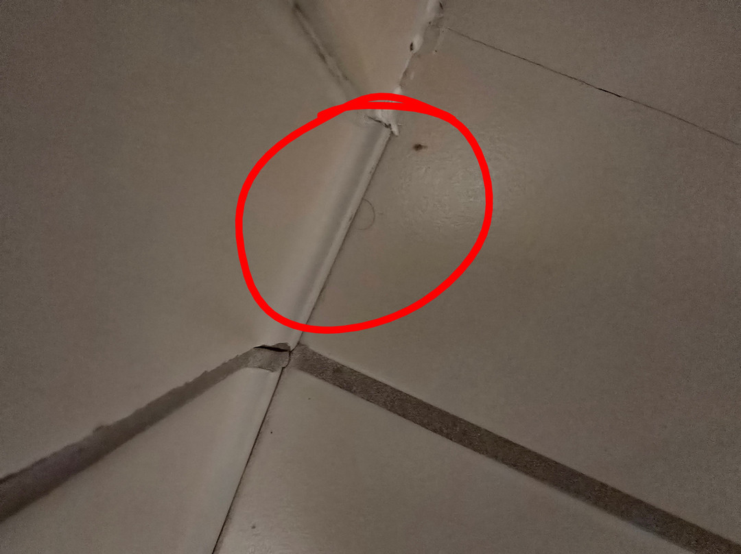 夏洛特派恩维尔希尔顿花园旅馆主图