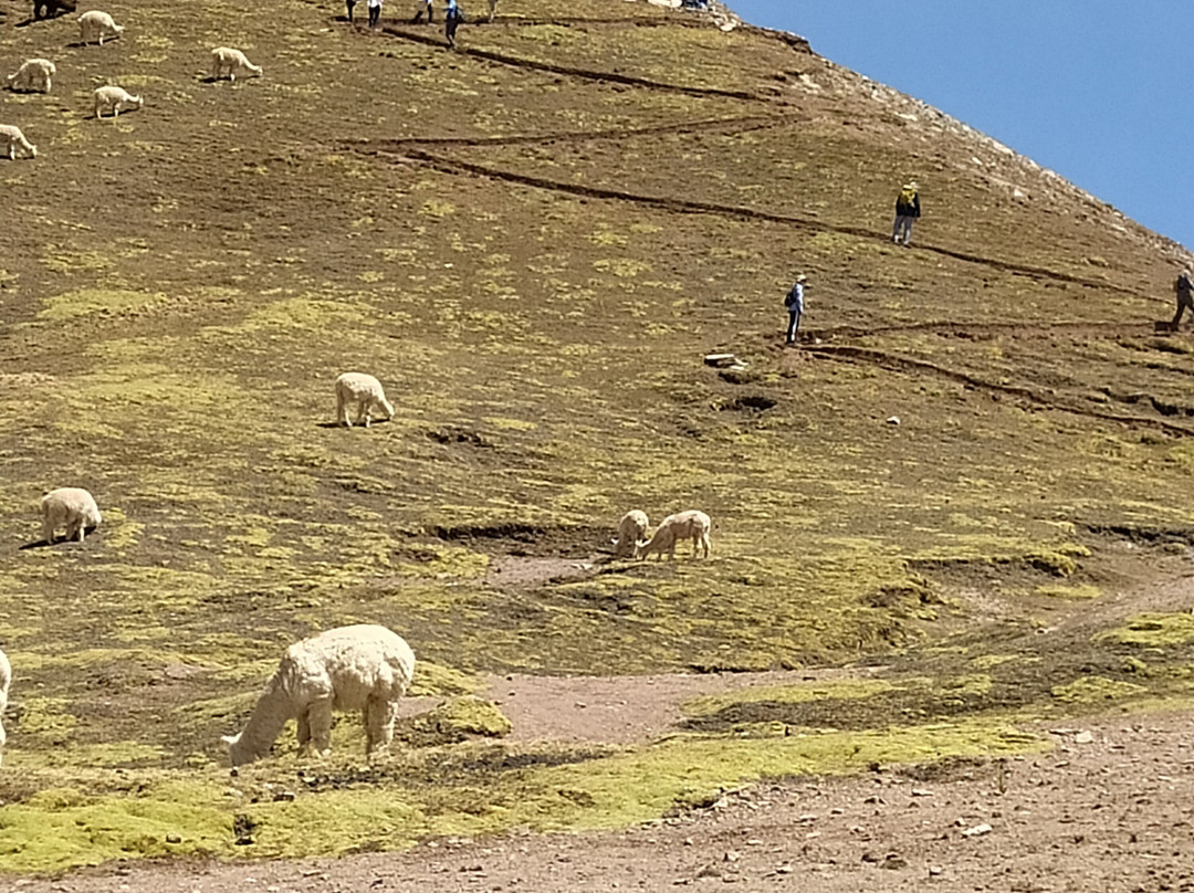 Gloria Perou Voyages-Carhuaz必去景点