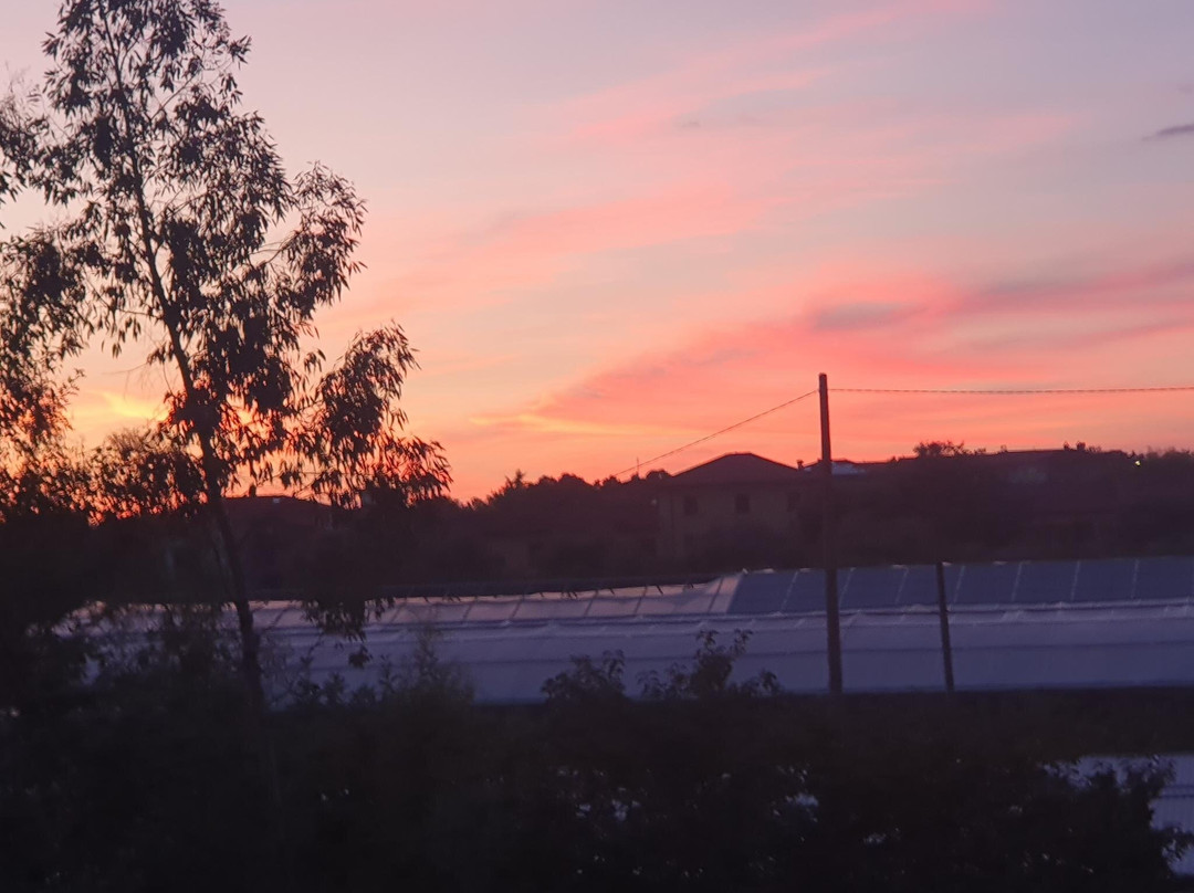 Querceta酒店住宿-Agriturismo La Vite Maritata