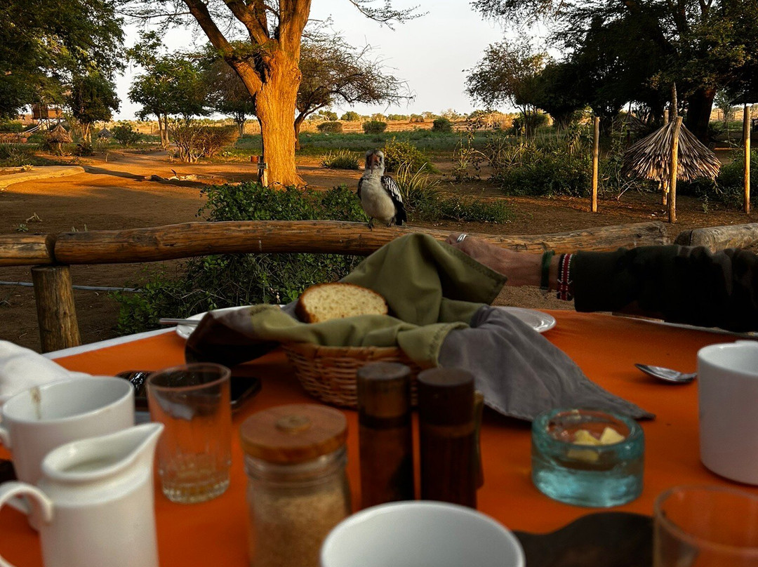 Nurali Safaris Kenya-马林地必去景点