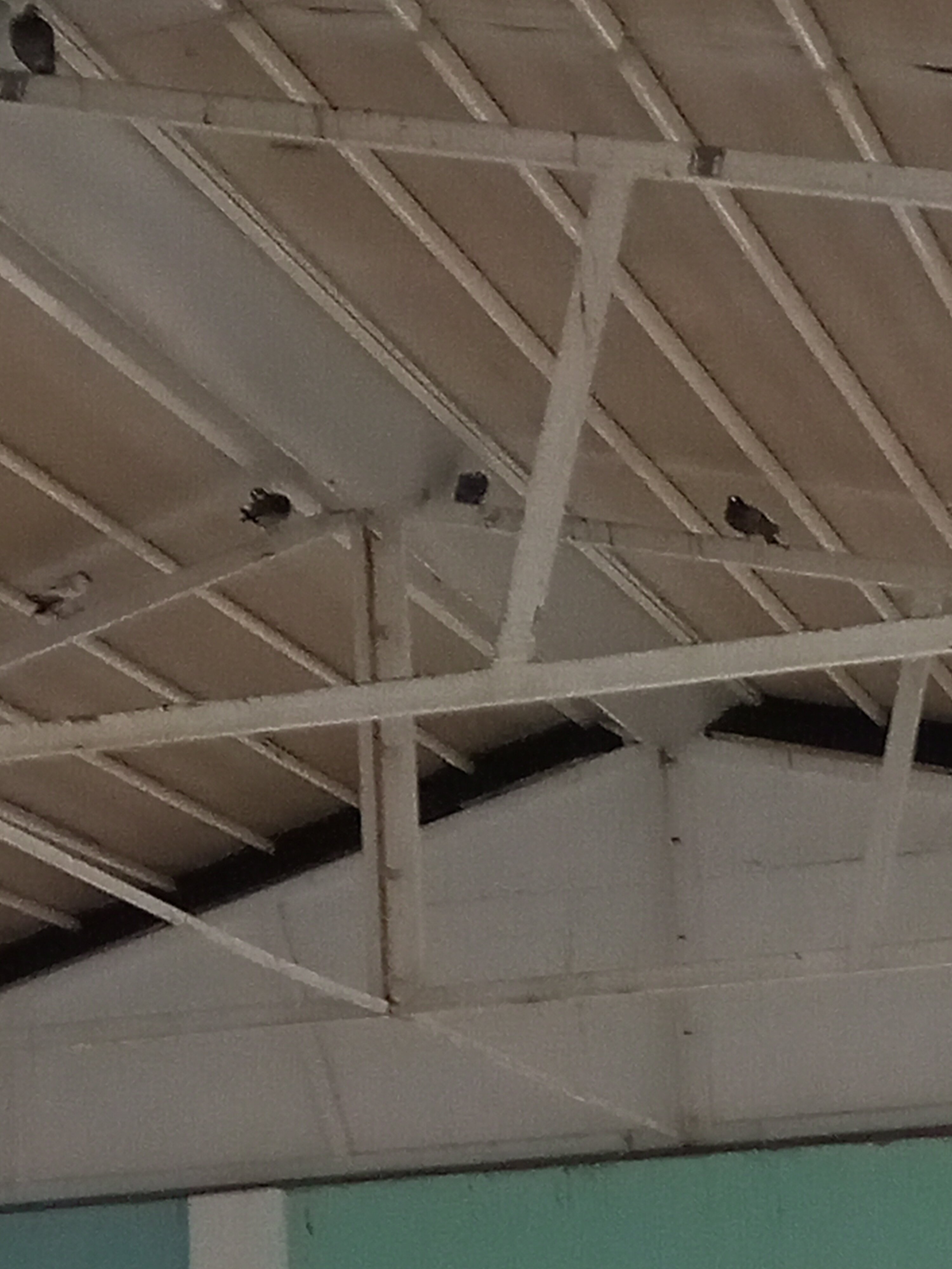 太阳宫度假Spa酒店-官方