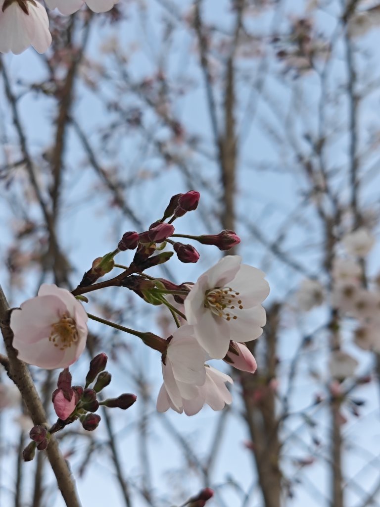 武汉盛捷未来中心酒店公寓(武汉动物园国际博览中心店)-官方