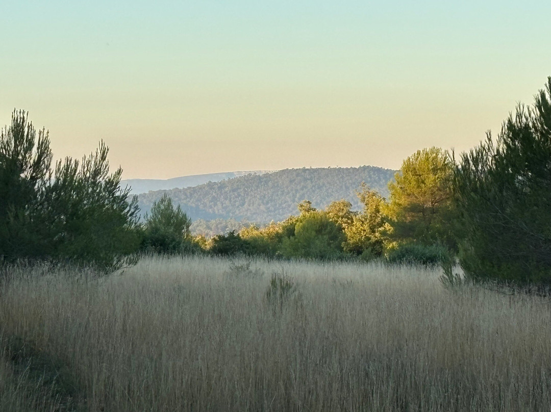 Domaine de la Blaque主图