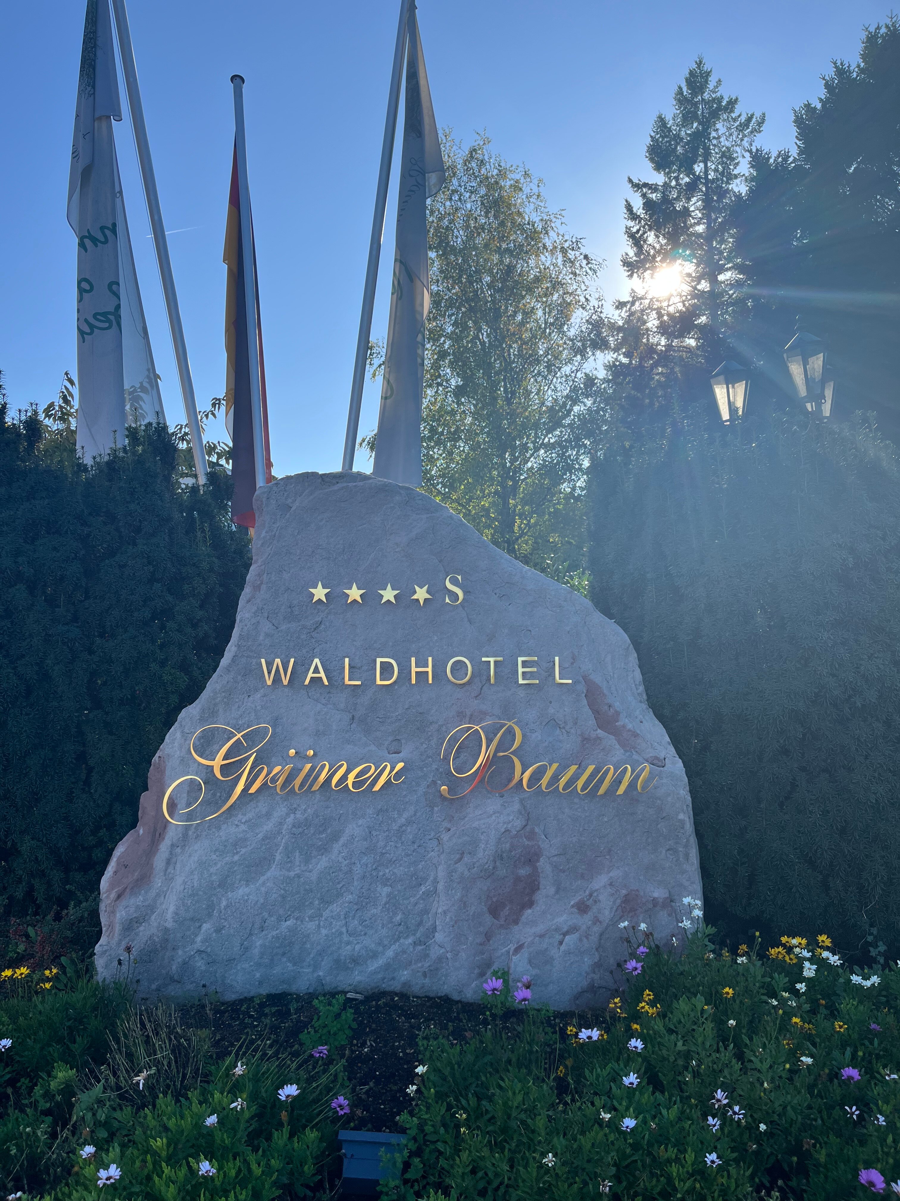 Waldhotel Grüner Baum-浴室