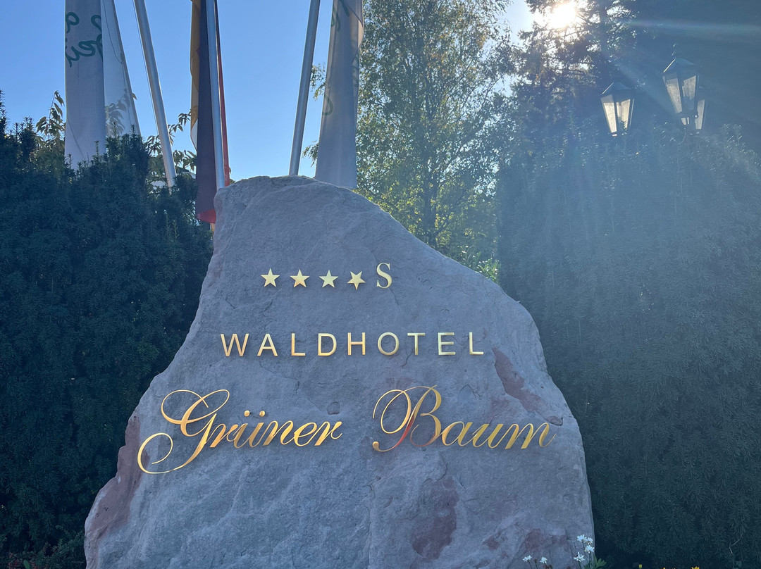 Waldhotel Grüner Baum主图