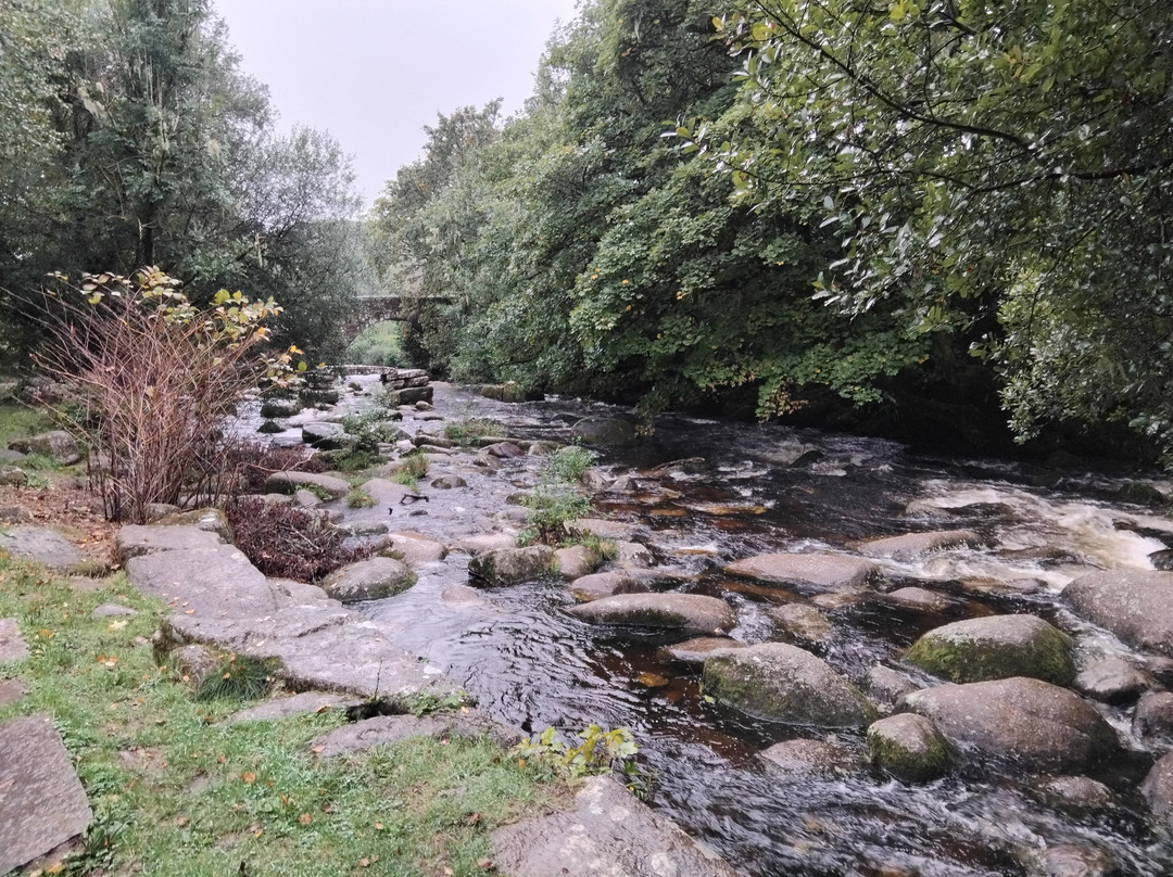 Dartmeet River Junction-Dartmeet必去景点