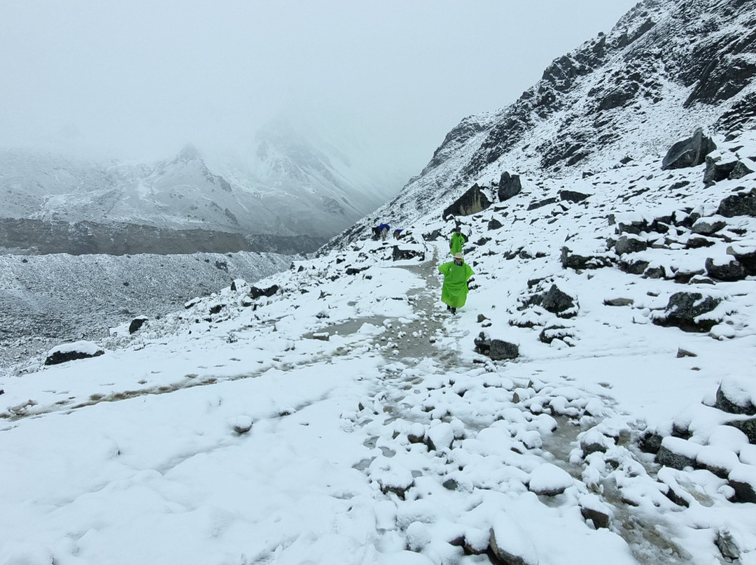 Alpaca Expeditions-库斯科必去景点