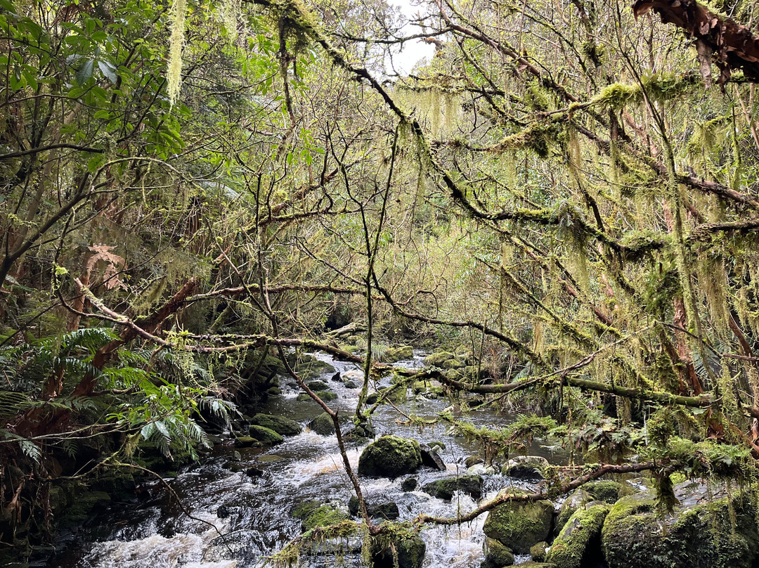 Catlins Tours-奥瓦卡必去景点
