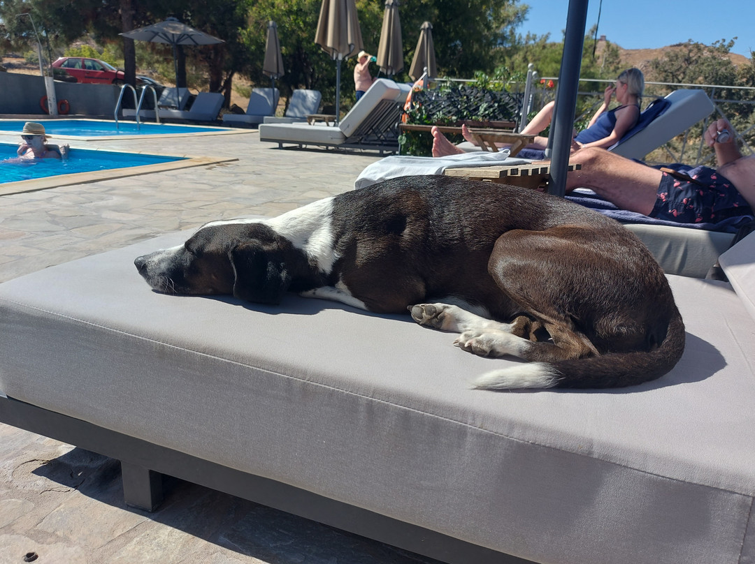 阿克缇公寓酒店主图