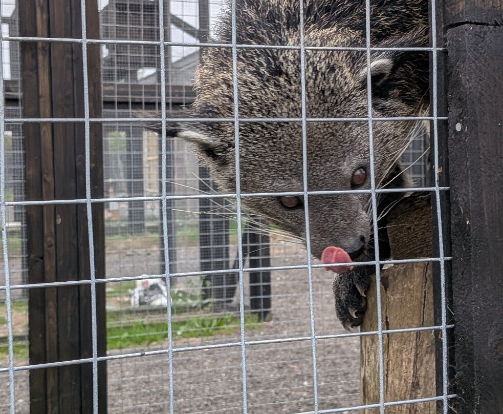 Ashlyns Wildlife Park-North Weald必去景点