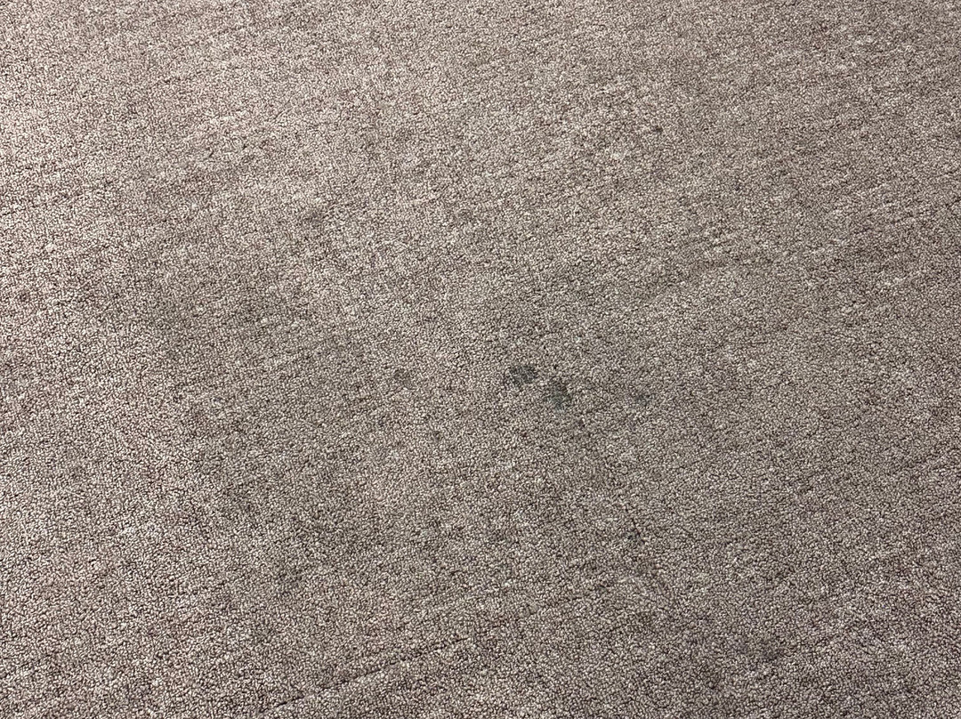 Home2 Suites by Hilton Lancaster主图