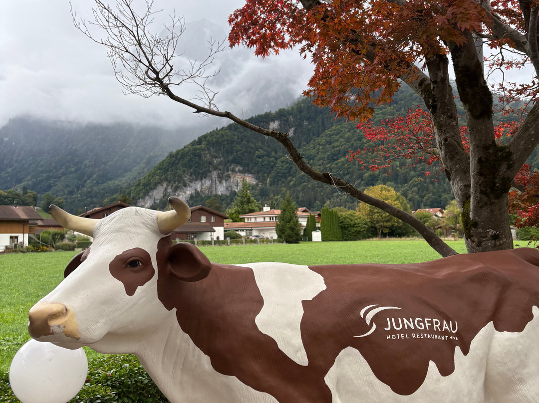 圣母峰酒店主图