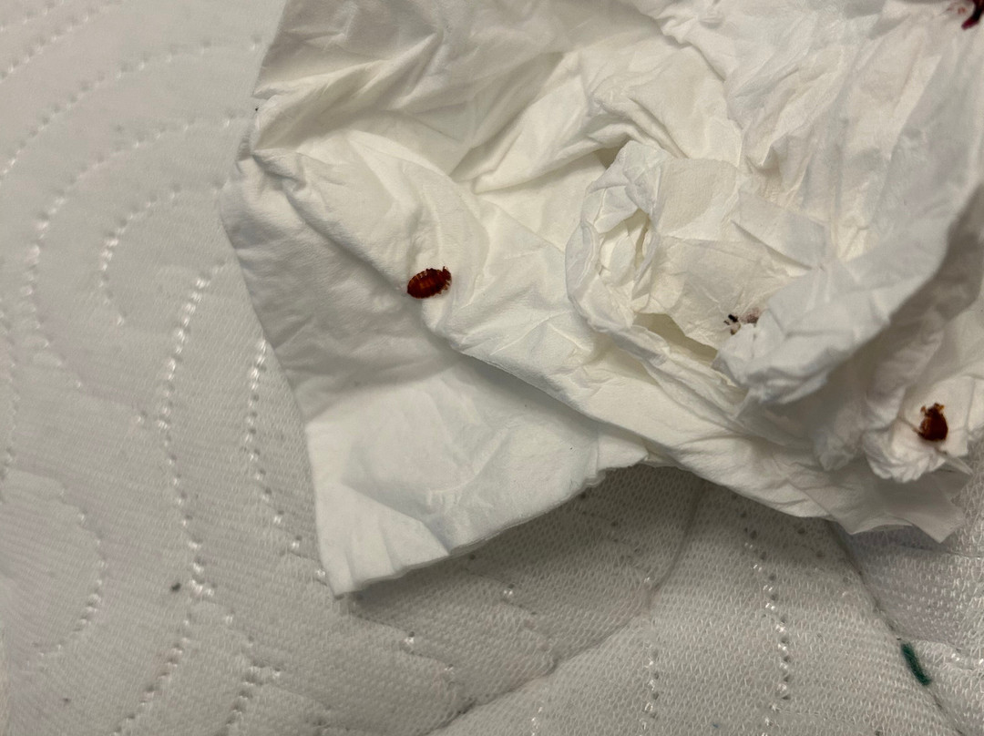 西奥特尔乐理查流酒店