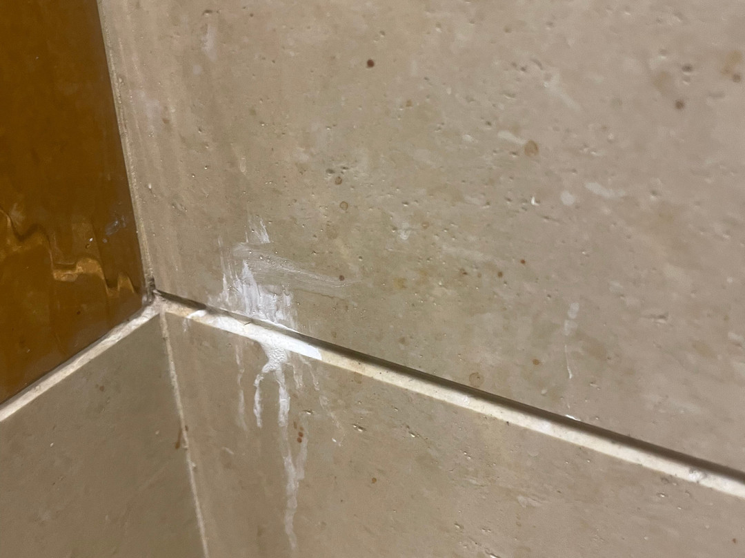 Hotel Kasturi Orchid主图