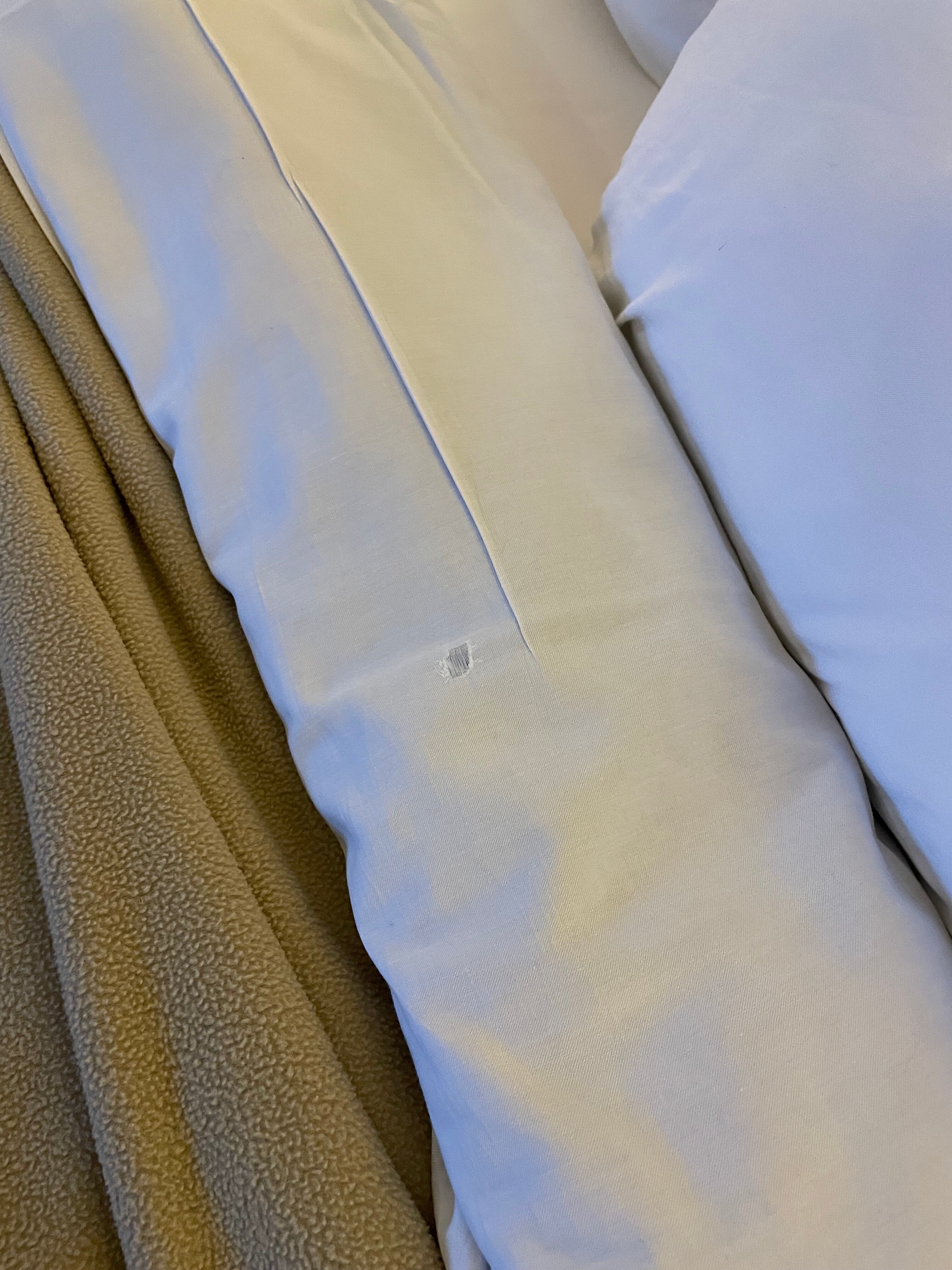 包湖景观酒店-客卧