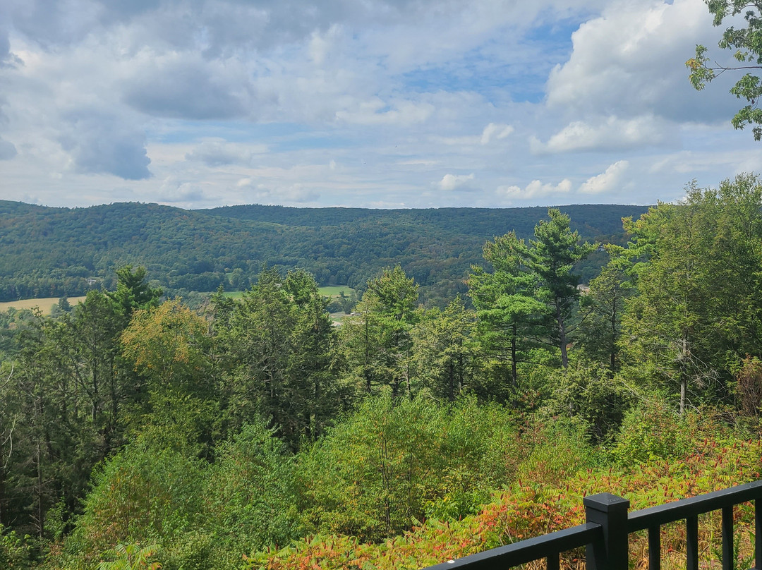 Kennedy Park-莱诺克斯必去景点