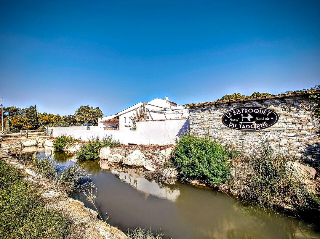 Le Petit Train Camarguais-滨海圣玛丽必去景点