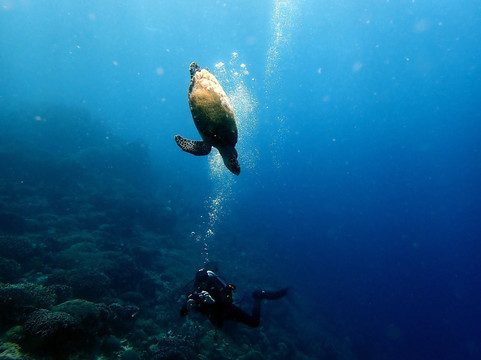 Legend Diving Penida-珀尼达岛必去景点