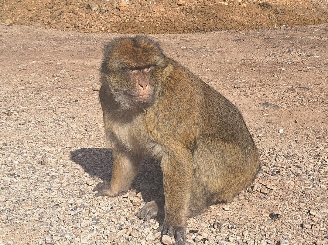 Sahara Tours Marocco-马拉喀什必去景点