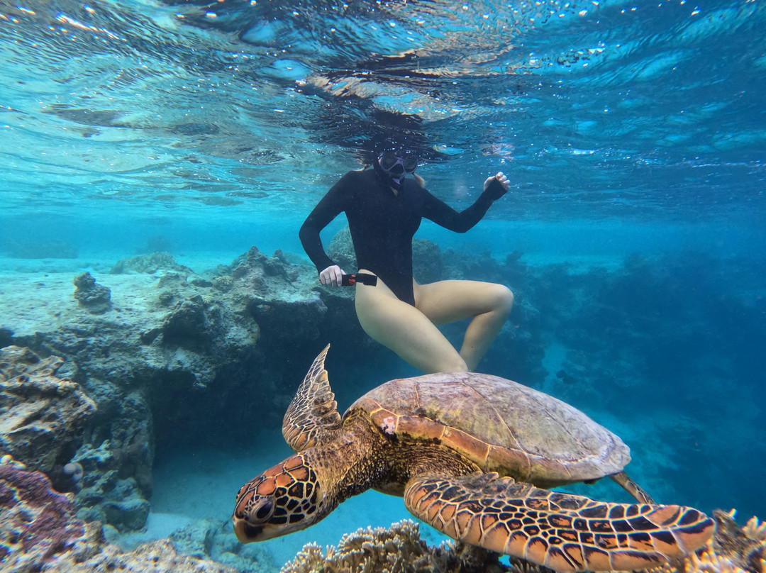 Sea Pace Rarotonga-堤堤卡维加必去景点