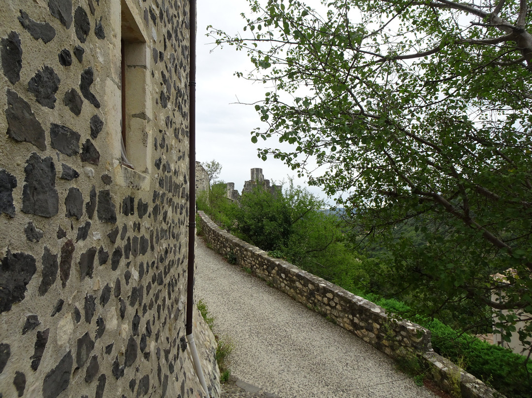 Chateau de Rochemaure-Rochemaure必去景点