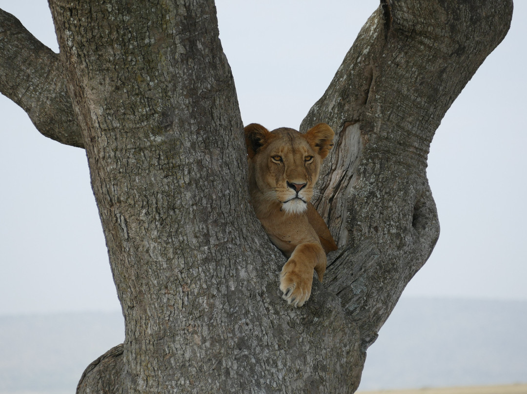PK Adventure-乞力马扎罗山国家公园必去景点