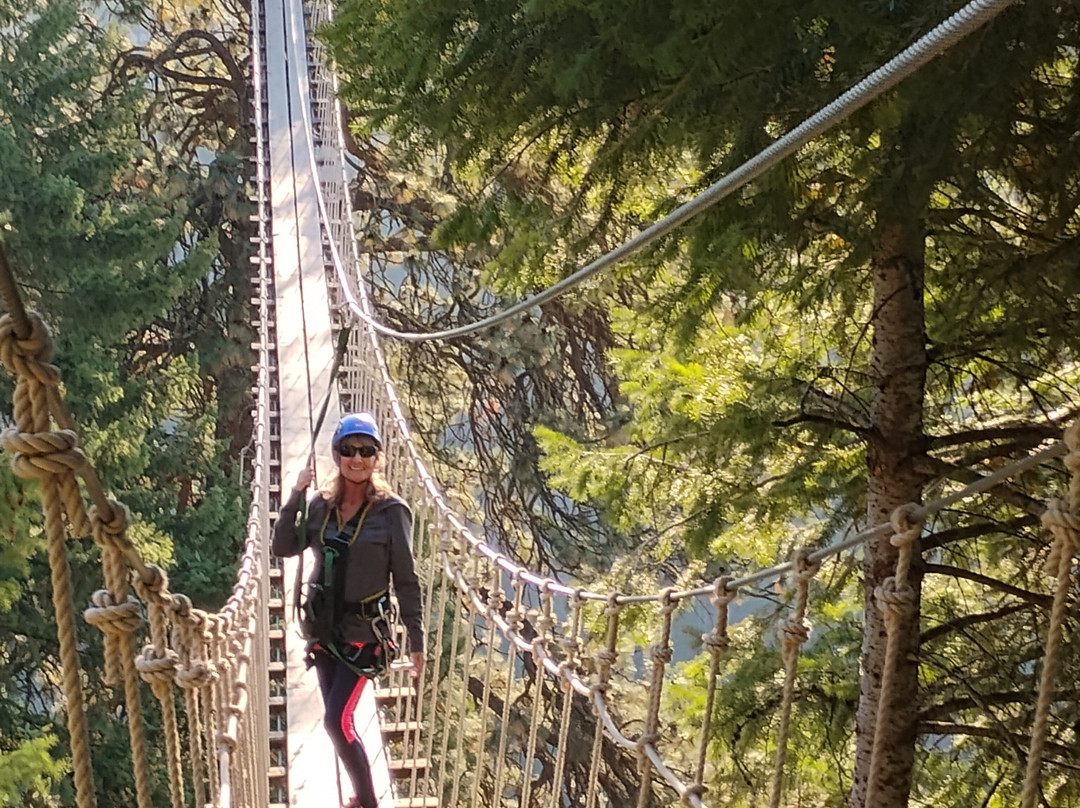Timberline Adventures-科达伦必去景点