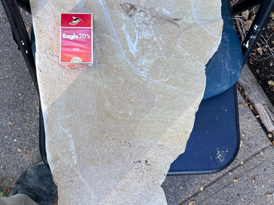 American Fossil-Kemmerer必去景点