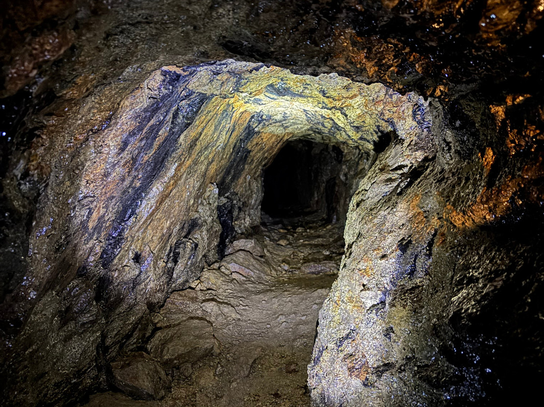 Ore Mountain Museum Erzgebirgsmuseum mit Silberbergwerk Im Goßner-Annaberg-Buchholz必去景点