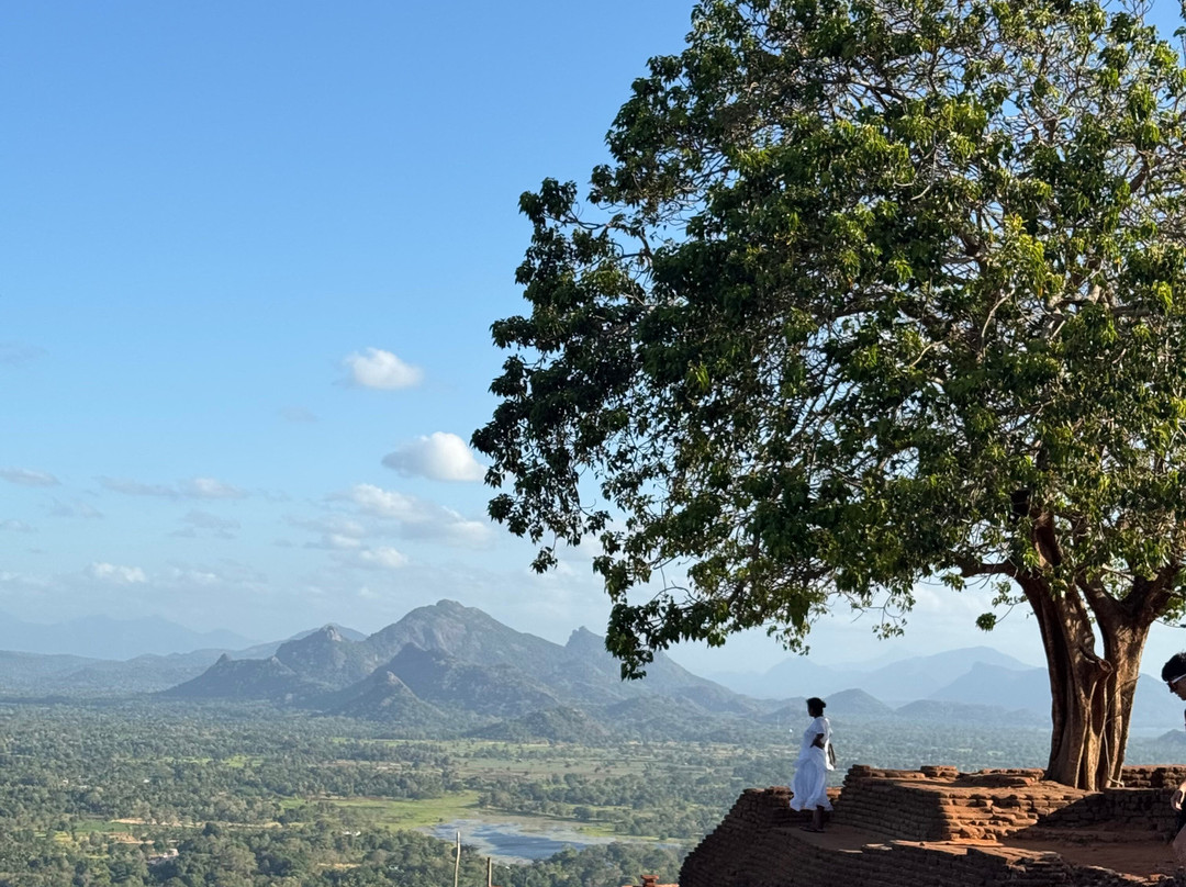 Idyll Odyssey Holidays-科伦坡必去景点